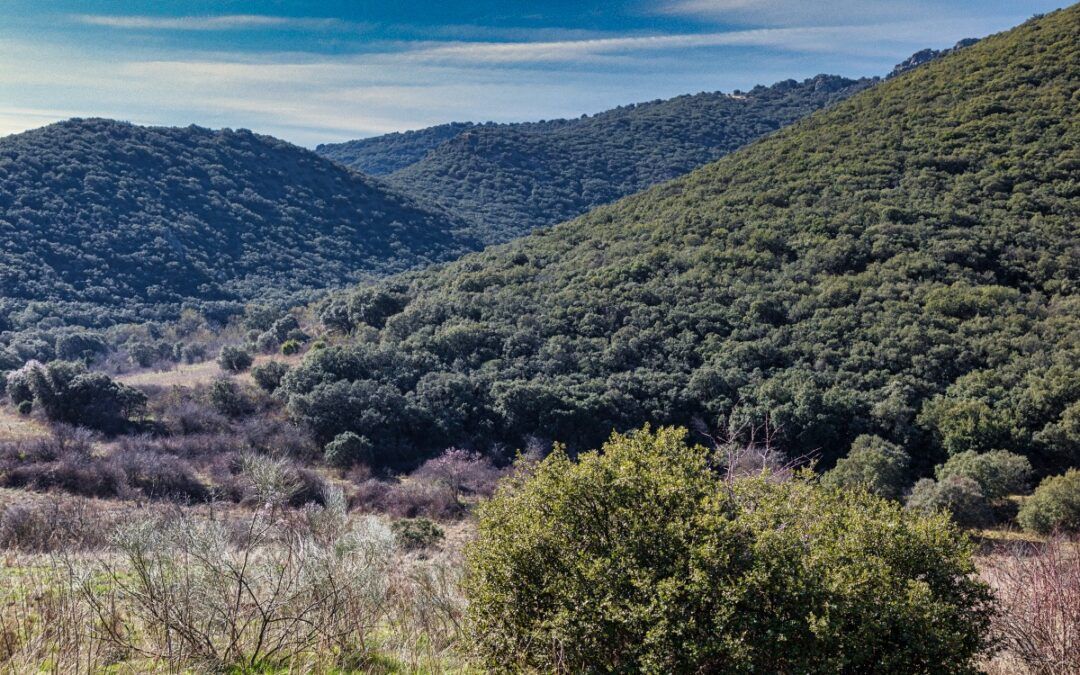 Sierra de Algairén