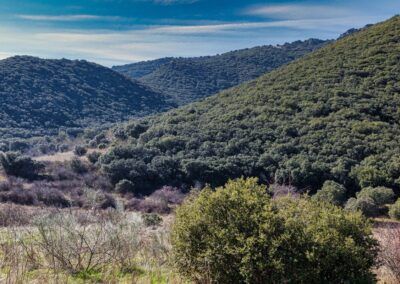 Sierra de Algairén
