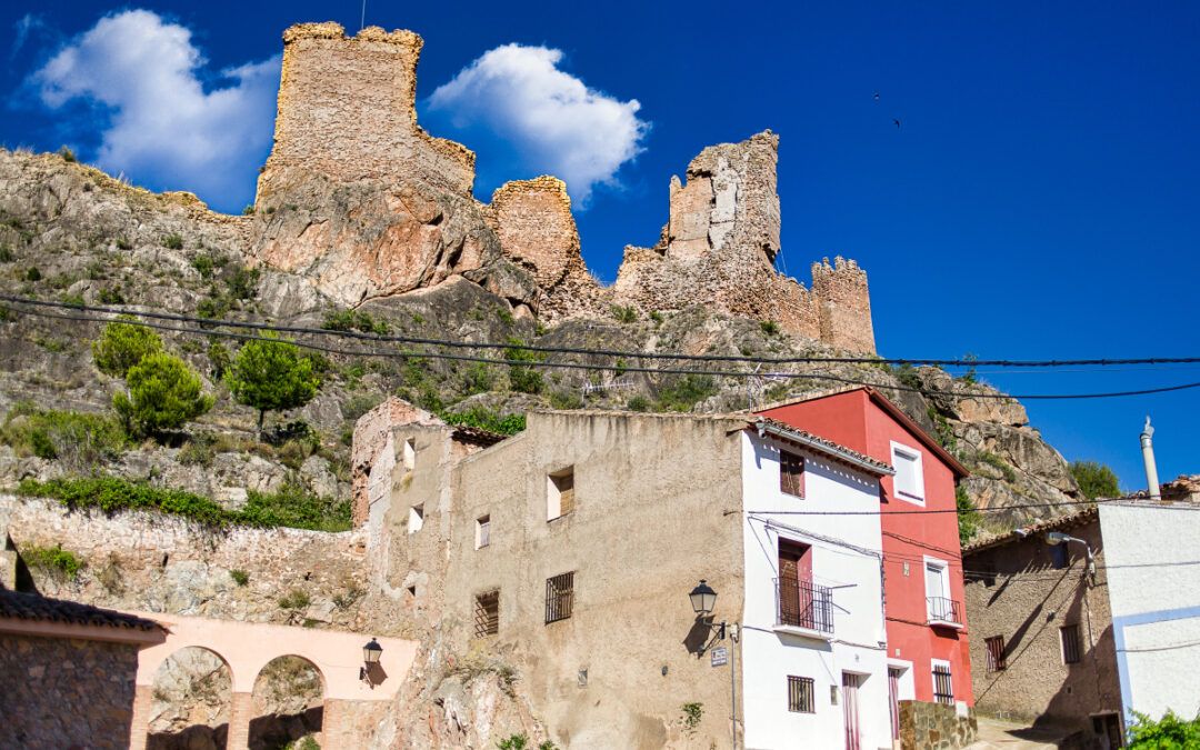 Arándiga
