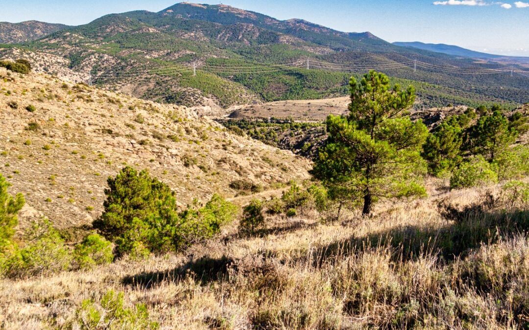 Sierra de Vicor