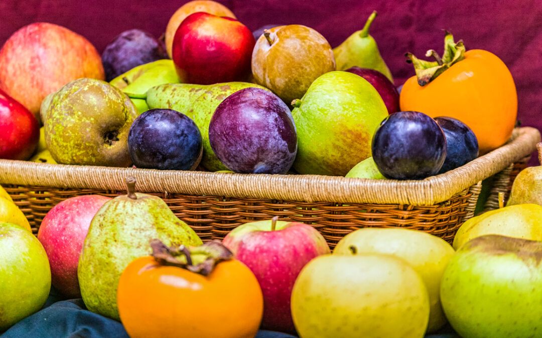 Fruta