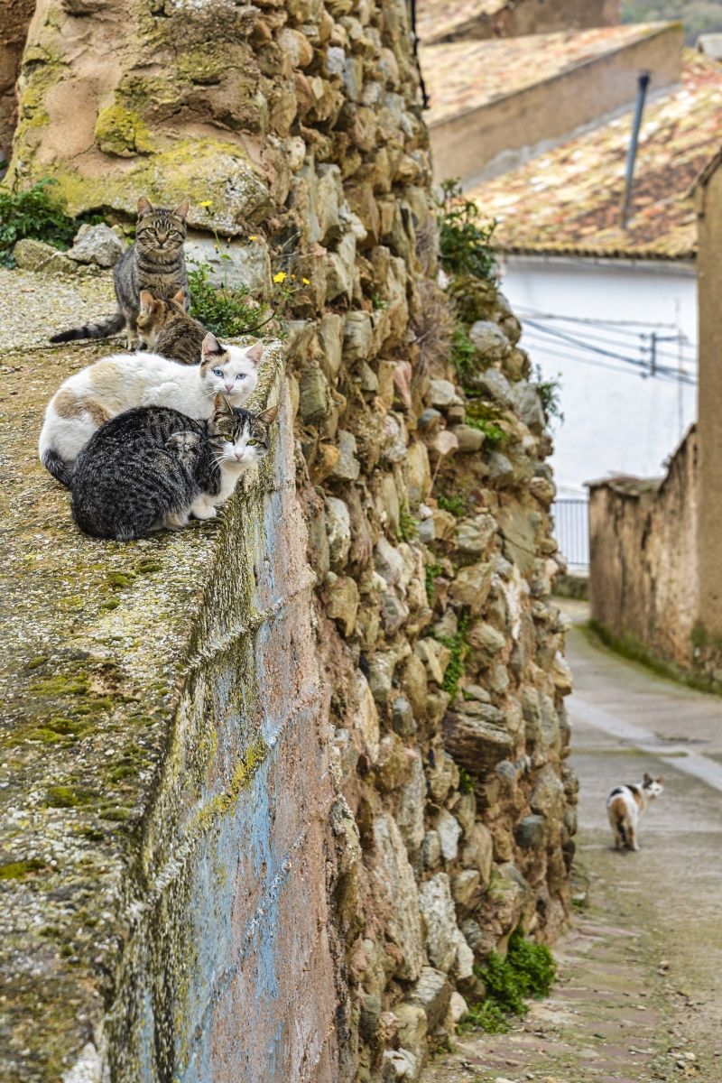 ParacuellosRibera_DSC_1069